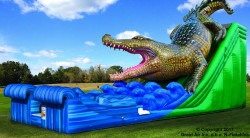 Gator 1667071893 20' King Croc Dual Lane Slide (Wet or Dry)